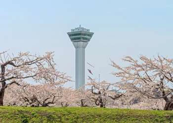 Jakarta - Jepang - Jakarta